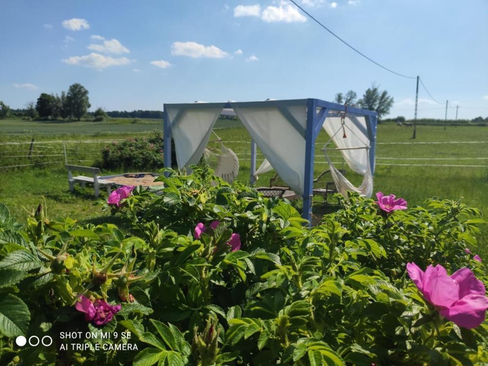 Villa Folwark Malinowy Chrusniak Bisztynek Esterno foto