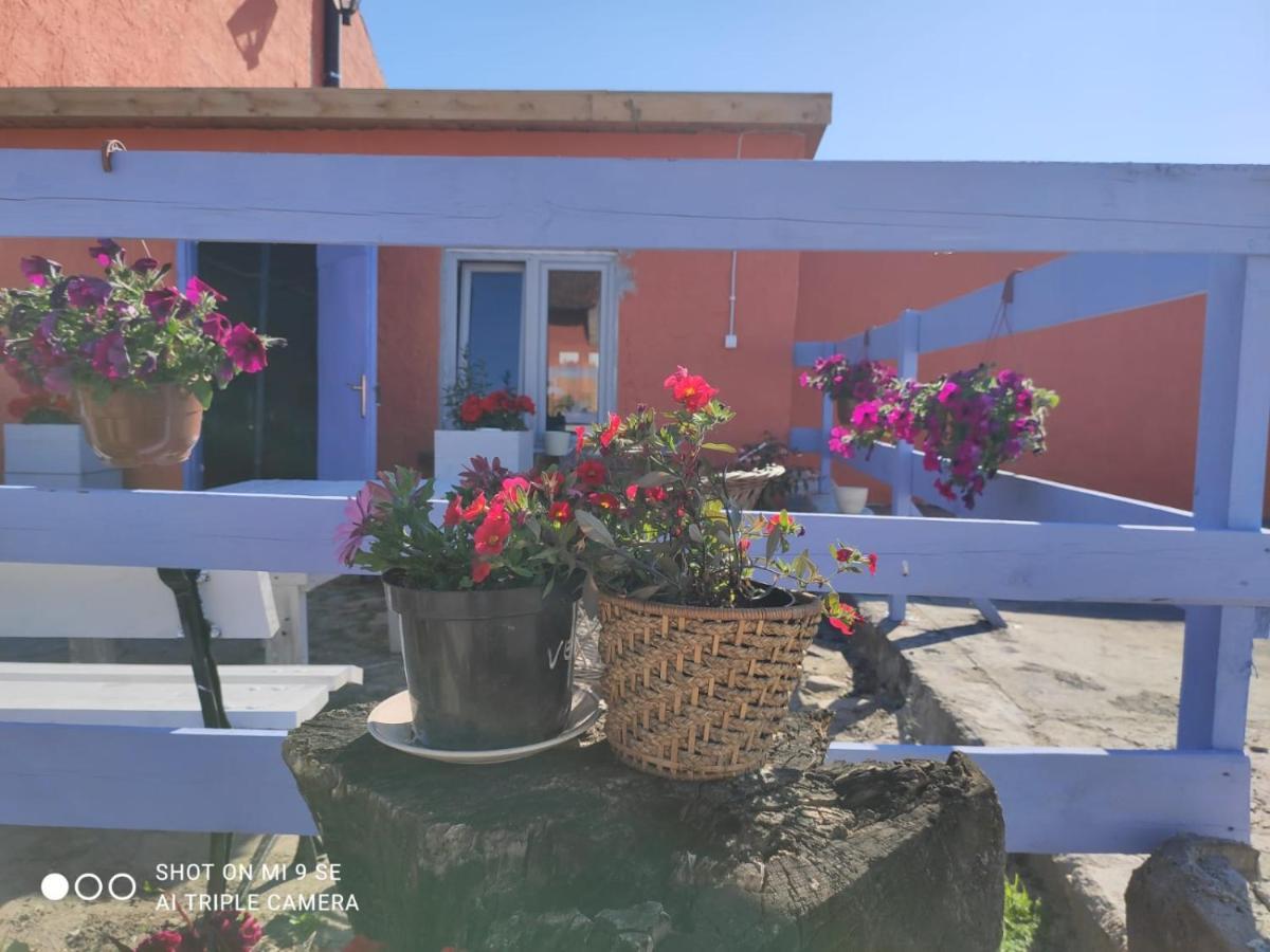 Villa Folwark Malinowy Chrusniak Bisztynek Esterno foto