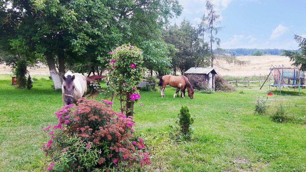 Villa Folwark Malinowy Chrusniak Bisztynek Esterno foto