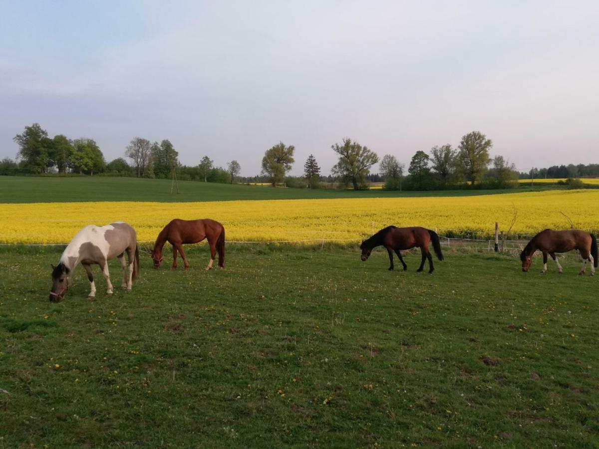 Villa Folwark Malinowy Chrusniak Bisztynek Esterno foto