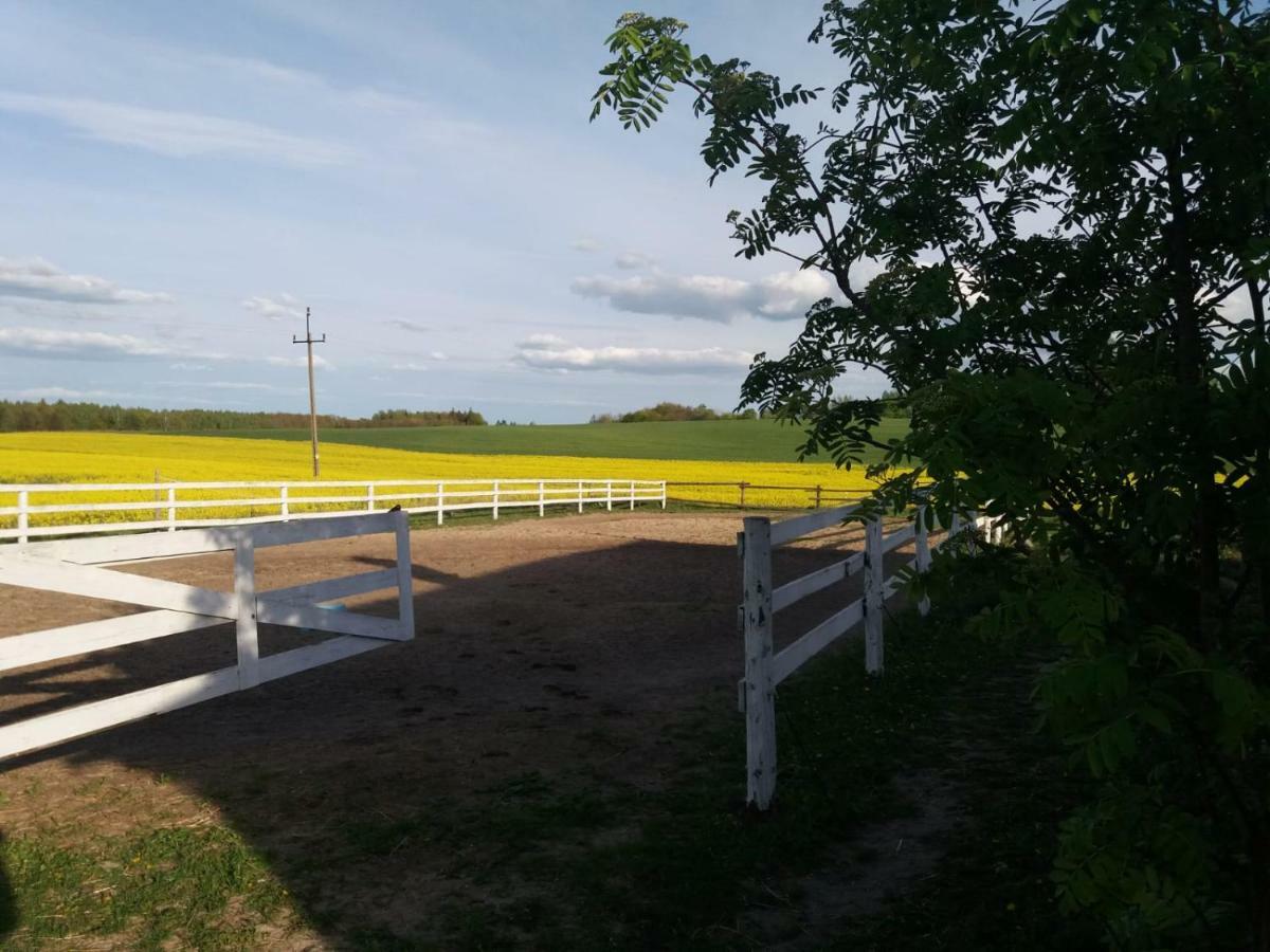Villa Folwark Malinowy Chrusniak Bisztynek Esterno foto